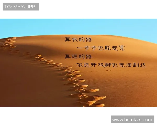 冠军之路：从挑战到辉煌，探寻每一个成功背后的奋斗与坚持
